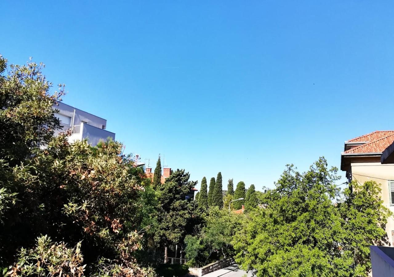 Apartment Mahonia Split Dış mekan fotoğraf